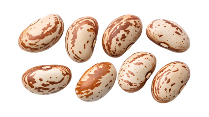 pinto beans  isolated on transparent background png