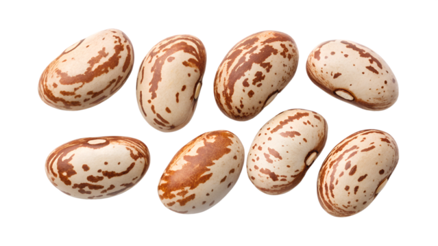 pinto beans  isolated on transparent background png