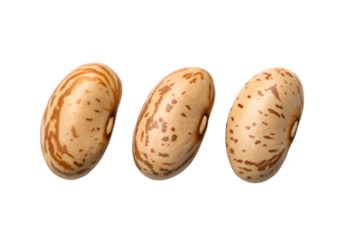 three pinto beans on a isolated on transparent background png