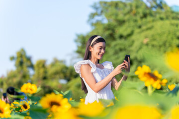 Asian woman in white dress using phone at sunflower garden. Young woman enjoying peaceful outdoor...
