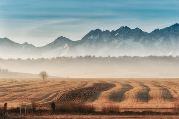 Czarny Dunajec polana z widokiem na tatry © pinus25