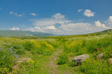 Caucasus mountains and flower meadows scenic view from Lori fortress ruins (Lori Berd, Armenia)
