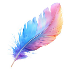 beautiful colorful feather