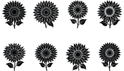 Sunflower flower silhouette isolated on a white background