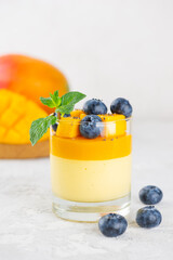 Italian Panna cotta, creamy jelly with coconut milk, agar agar, blueberries and mint in a glass....
