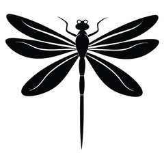 dragonfly on a white background