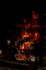 Camp fire with grill