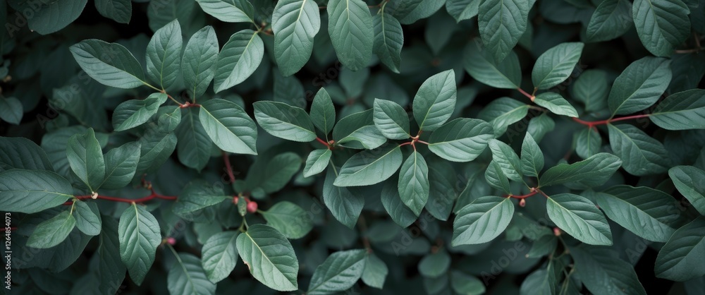 Poster dense arrangement of vibrant green leaves with subtle texture and variation in shape ideal for backg
