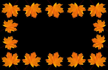 Ahornblätter im Herbst auf schwarzen Hintergrund