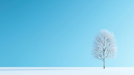 Fototapeta premium Lone tree standing in a snowy landscape with clear blue sky and snow-covered ground