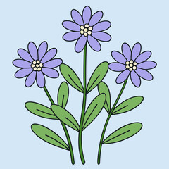 flowers on a blue background