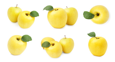 Fresh yellow apples isolated on white, set