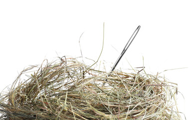 Sewing needle in hay on white background
