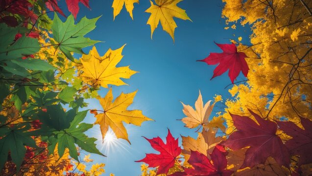 Colorful autumn leaves against a bright blue sky with sun rays visible creating a vibrant natural frame Copy Space - Powered by Adobe