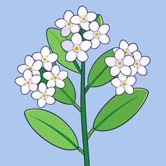 flowers on blue background