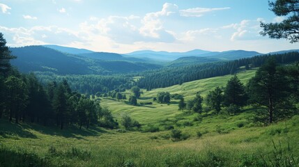 Obraz premium Breathtaking summer day in wild mountains with coniferous forest and green slopes. Location place Carpathian mountains, Ukraine, Europe. Sunshine vibe. Photo wallpaper. Discovery the beauty of earth.