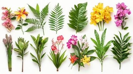 Beautiful tropical vintage plants. Floral clip art. Exotic botanical print. Isolated on white background
