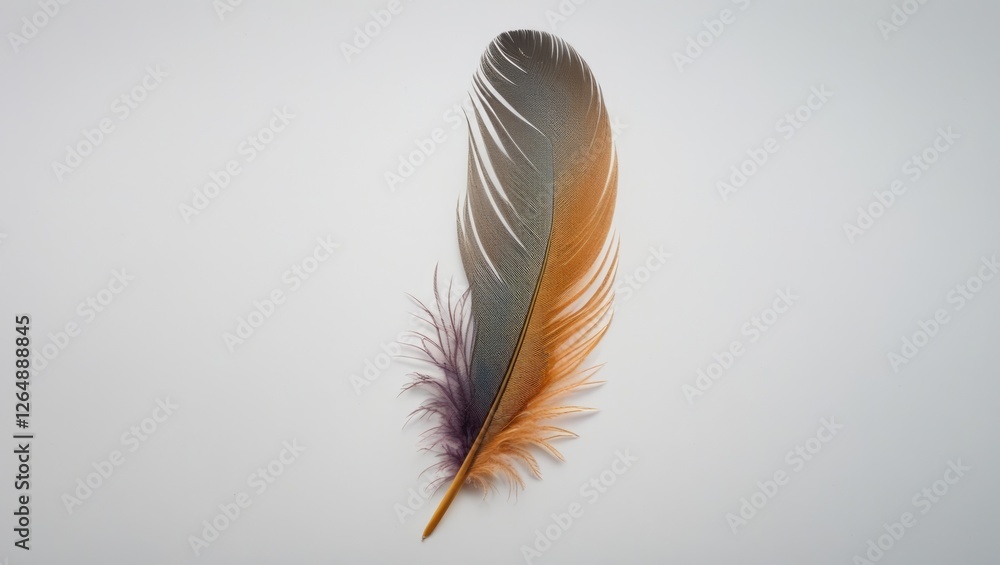 Fototapete colorful exotic feather on a light background with fine details and unique textures suitable for bac