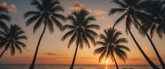 Silhouette of palm trees against tropical sunset with ocean view and colorful sky Copy Space