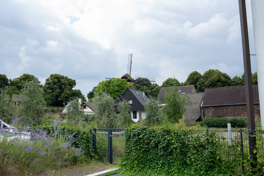 Zons am Rhein