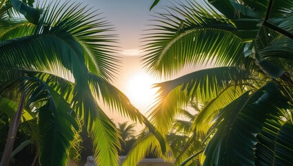 Fototapeta premium Tropical sunrise through palm leaves with sun rays illuminating foliage in a peaceful setting with Copy Space