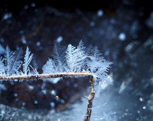 Winter xmas decoration