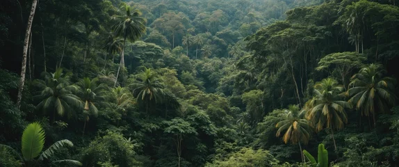 Gordijnen Lush tropical rainforest landscape with dense greenery and palm trees natural setting with tall trees and undergrowth Copy Space © VirtualVista