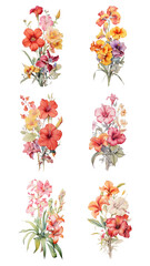 PNG flower illustration design element set, transparent background