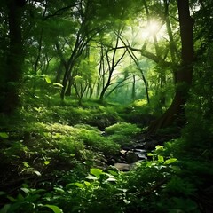 Fototapeta premium A lush green forest full of diverse plant life on World Environment Day.