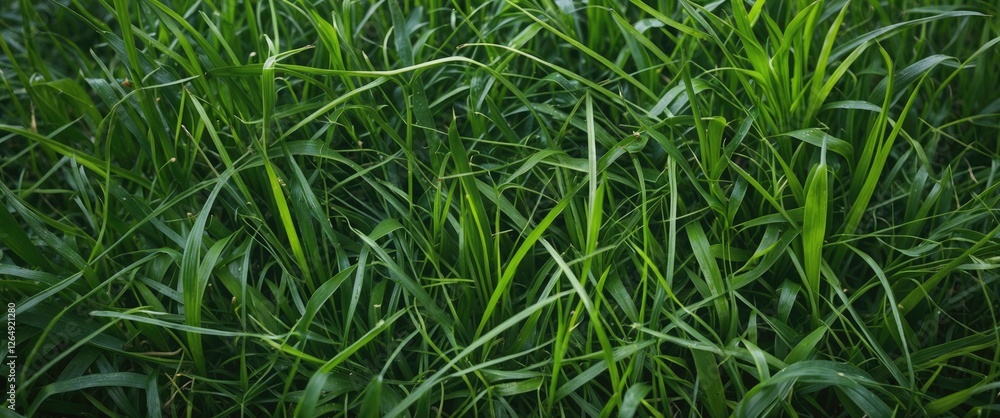 Poster green grass texture pattern with vibrant blades and natural freshness suitable for backgrounds and l