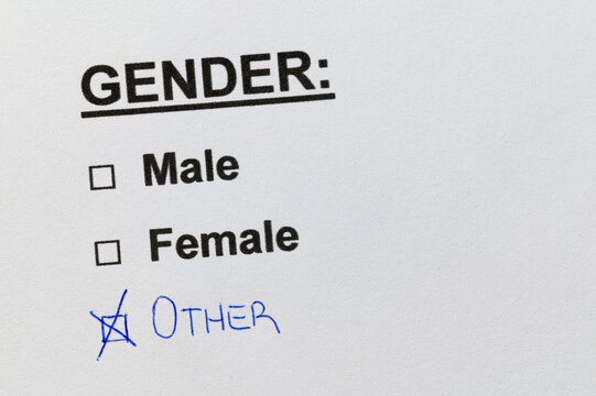 Module with gender text, Male and Female options, but flag on Other, written in pen. Gender plurality.