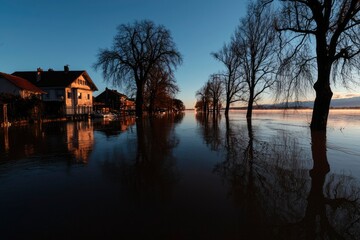 Fototapeta premium Flooding covers homes by waterfront, trees reflected at dusk, climate article use