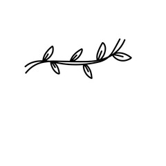 vine doodle 