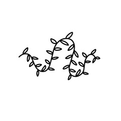 vine doodle 