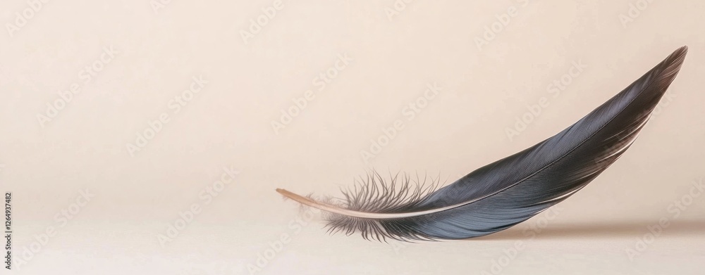 Poster elegant dark feather with fine details on a soft neutral background for artistic and natural themes