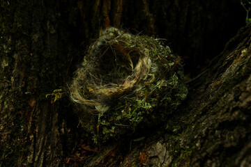 a nest of grass lies on a tree in the dark