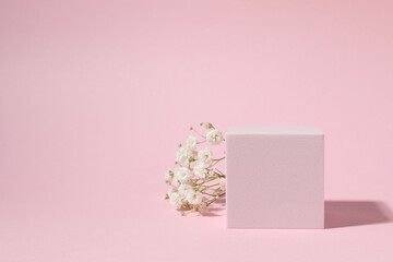 Podium and white gypsophila flowers on color background