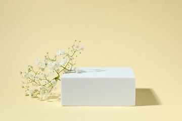 Podium and white gypsophila flowers on color background