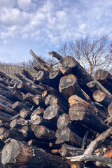 Hiking on trail along abandoned open-pit mine and burnt trees near Mijas, Spain 