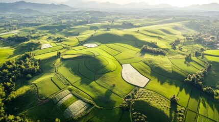 Fototapeta premium Aerial View of Green Fields with Stunning Geometric Patterns