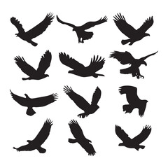 Collection of Eagle Vector Silhouettes for Design