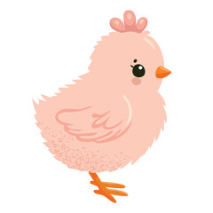 chick, easter, hen, egg, Suitable for Easter decorations, greeting cards and holiday themed designs. Isolated on white background.