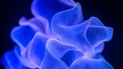 Abstract Light Trails Flowing Blue, Cyan, and Violet Curves against a Black Background
