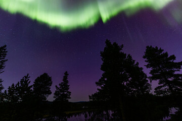 Northern lights in Kiruna, Sweden, reflecting on calm water in September with stars and forest in the background.