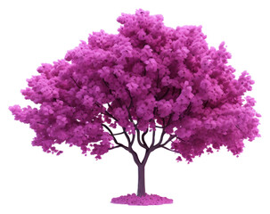 Obraz premium PNG Tree outdoors blossom nature.