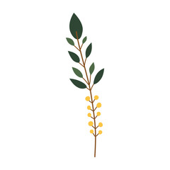 Plant leaf, branch. Icon, vector illustration, graphic design, flat style