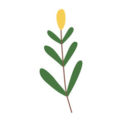 Plant leaf, branch. Icon, vector illustration, graphic design, flat style
