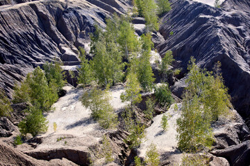 Obraz premium grand canyon national park