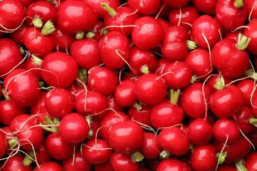 Many fresh radishes as background, top view