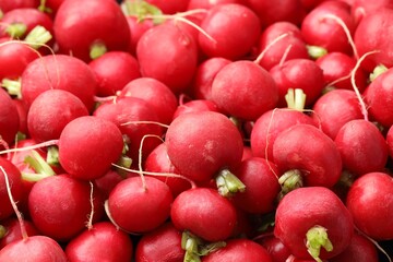 Many fresh radishes as background, closeup view